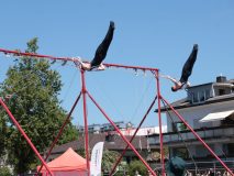 IMG_0942-scaled