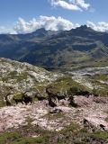 IMG_4028
