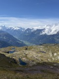 IMG_4639