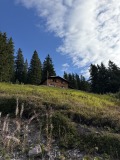 IMG_4672